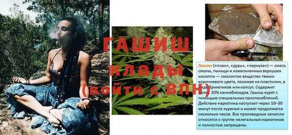 амф Ладушкин