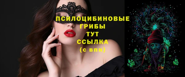 амф Ладушкин