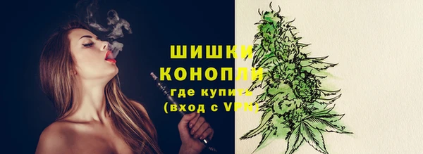 амф Ладушкин