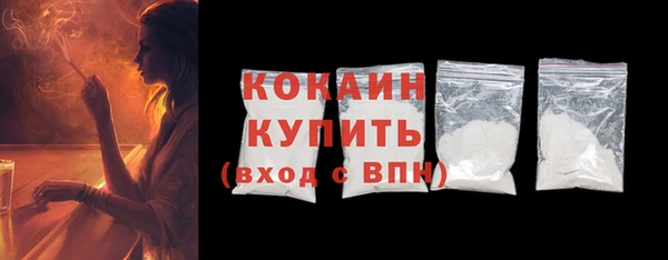 амф Ладушкин
