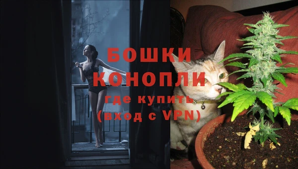 стафф Балабаново
