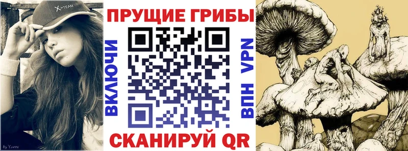 Псилоцибиновые грибы прущие грибы  наркота  Черепаново 